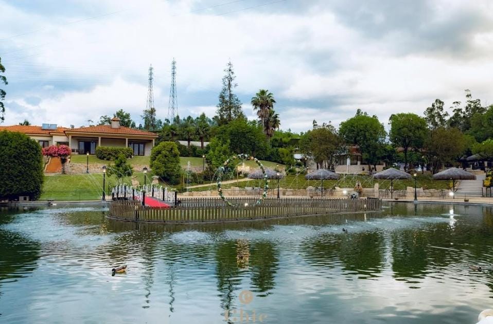 Gala de Finalistas 2